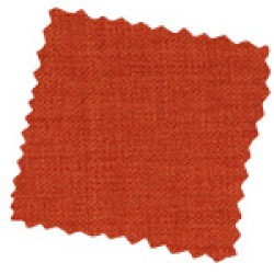 Linetta Burnt Orange